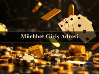 Müebbet Giriş